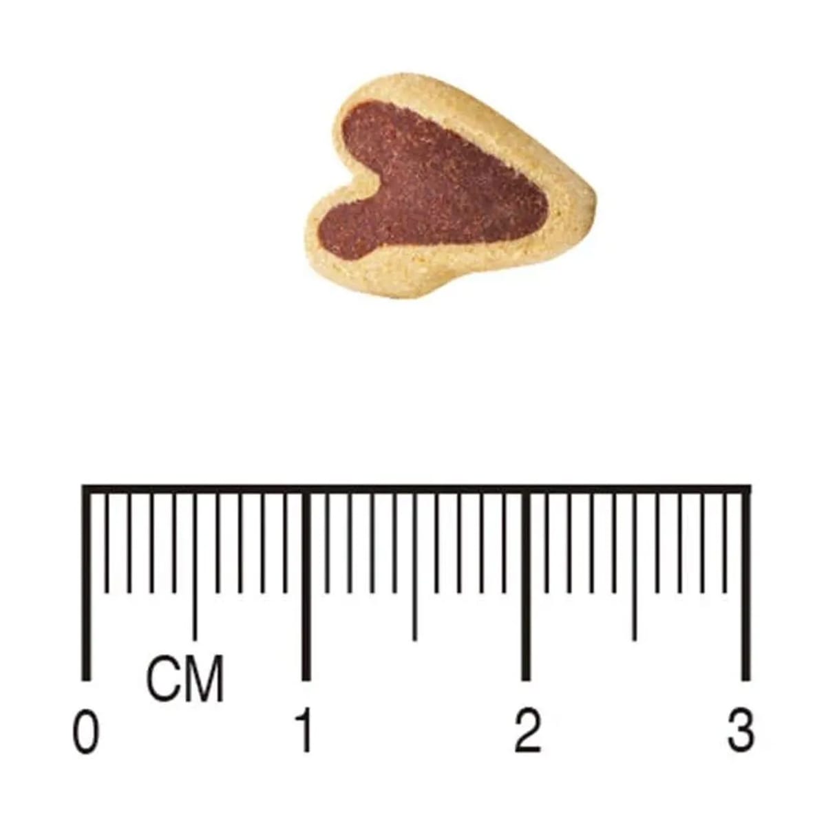 image_8127e25b-4665-4cf9-9b38-fccfd623dc19