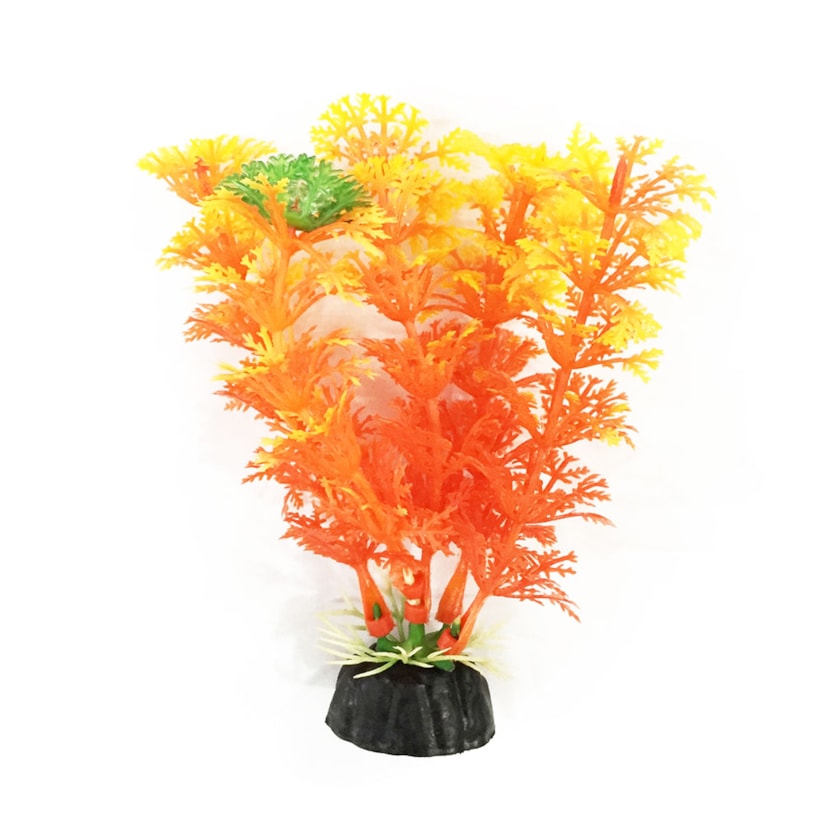 Product main image - 0b091a4f-5fcc-4b6c-9c62-34c709b30aa6