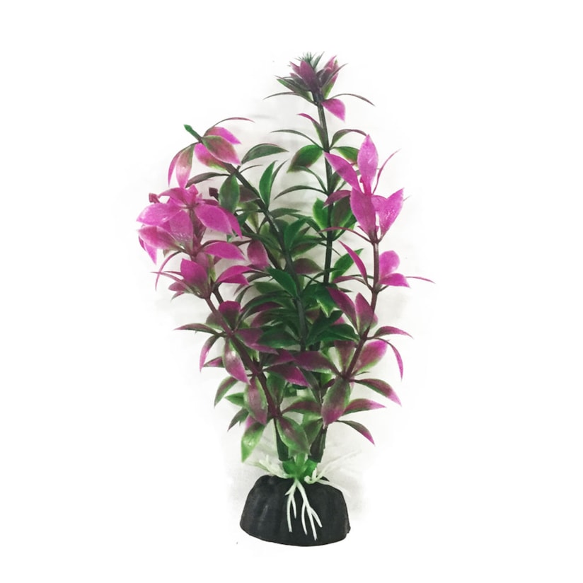 Product main image - 4ffa438e-bb29-4a7b-aa2d-a7923b447f38