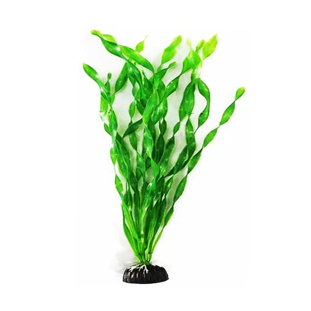 image_a5485ff4-3b39-48d0-b841-58f742ed8261