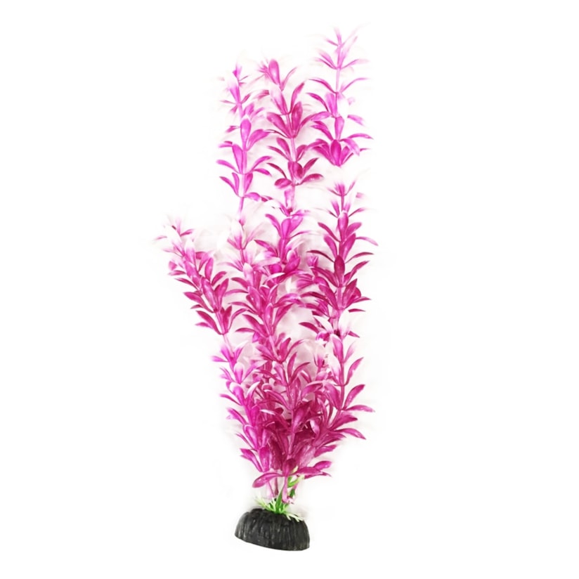 Product main image - 6ccc4784-b11f-4036-9574-bc25f71ed818