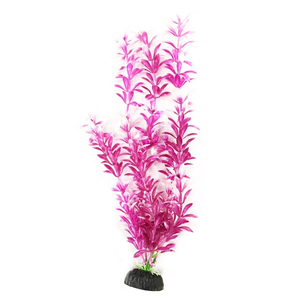 image_fd768b7c-50ff-408c-a526-c19a0a7a117a