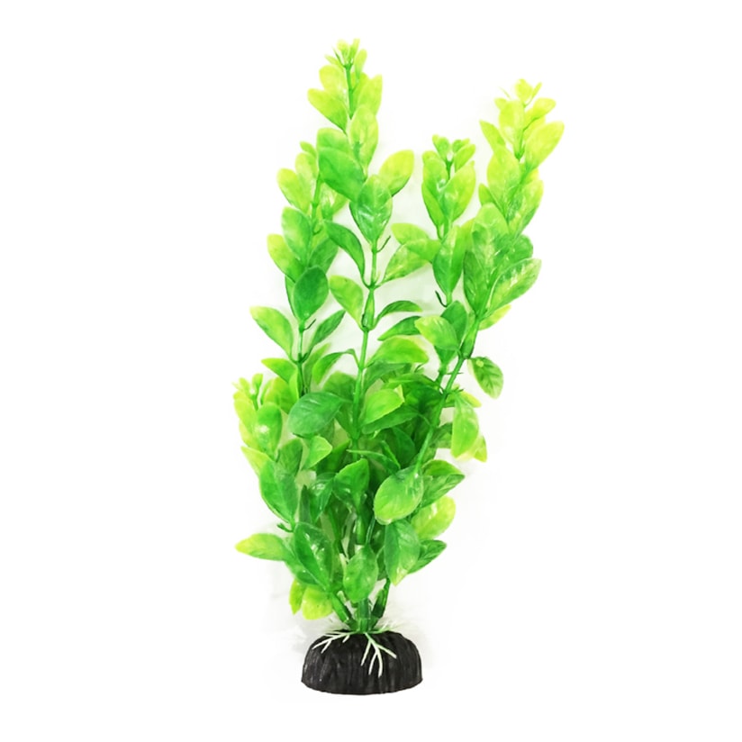 Product main image - 252e25e5-fd90-4e6d-844e-7a5f159cf3b3