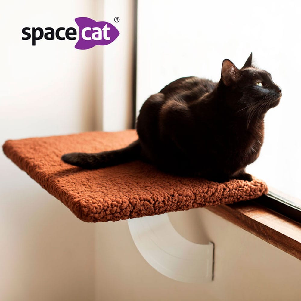 image_d81f47fa-06ae-42aa-b962-cfc04d93200b