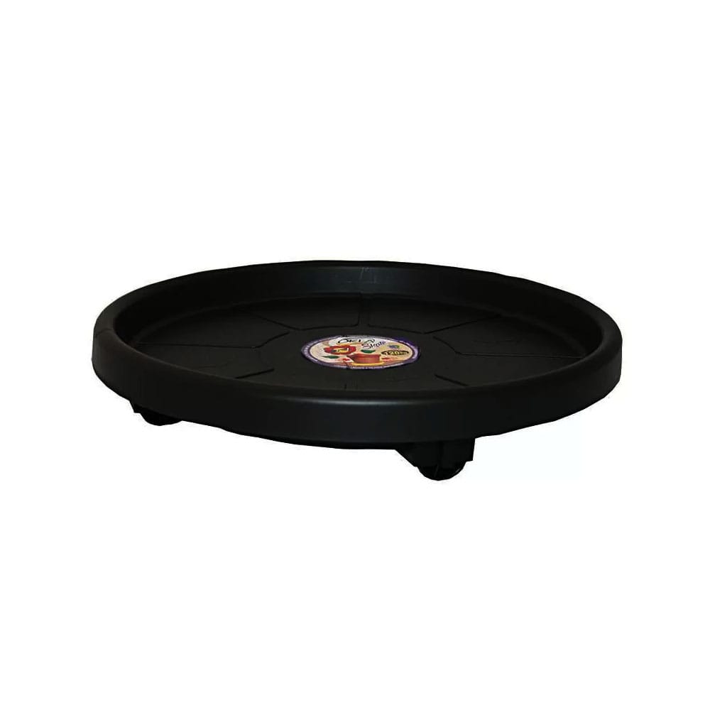 image_ae807980-bbdd-4eee-bd8f-b0e2330053d7