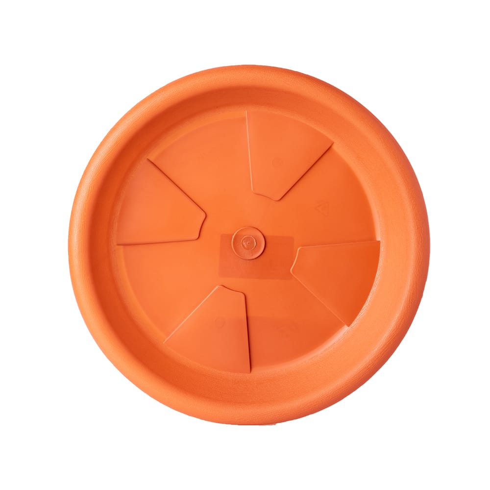 image_e157554b-d7b2-49f0-985d-6165f447333b