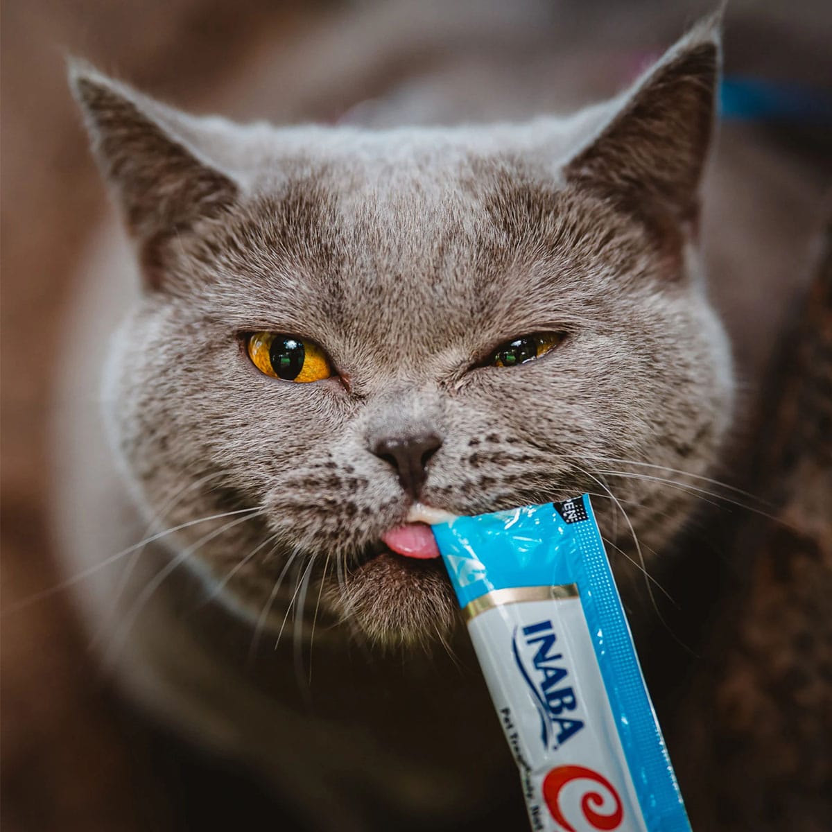 image_04a291da-6bf5-4f54-acb9-82ad681d6bd0