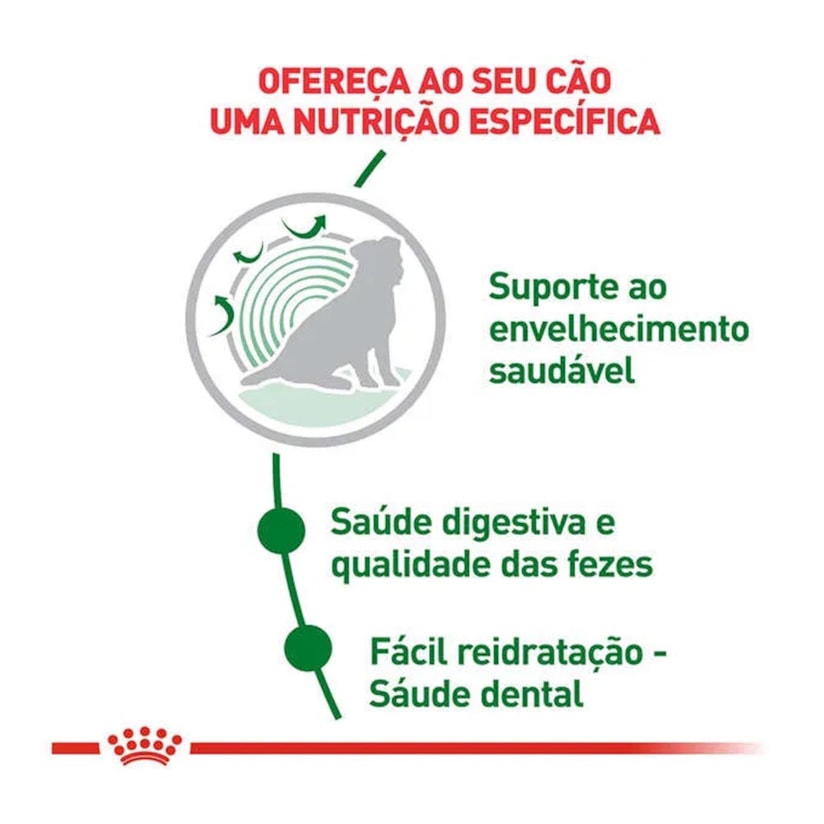 Product main image - d2ee33ce-ff69-4693-9a03-9bdb1f3d3999