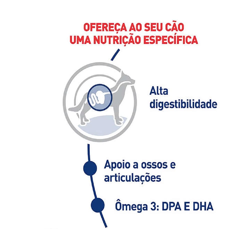 image_54bcaa7b-a6fc-4e34-8c06-a6ef6404c1ca