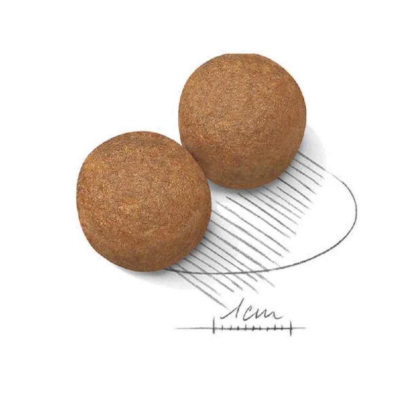 Product main image - 2d418f17-e82e-4fe4-865e-7577cda51252