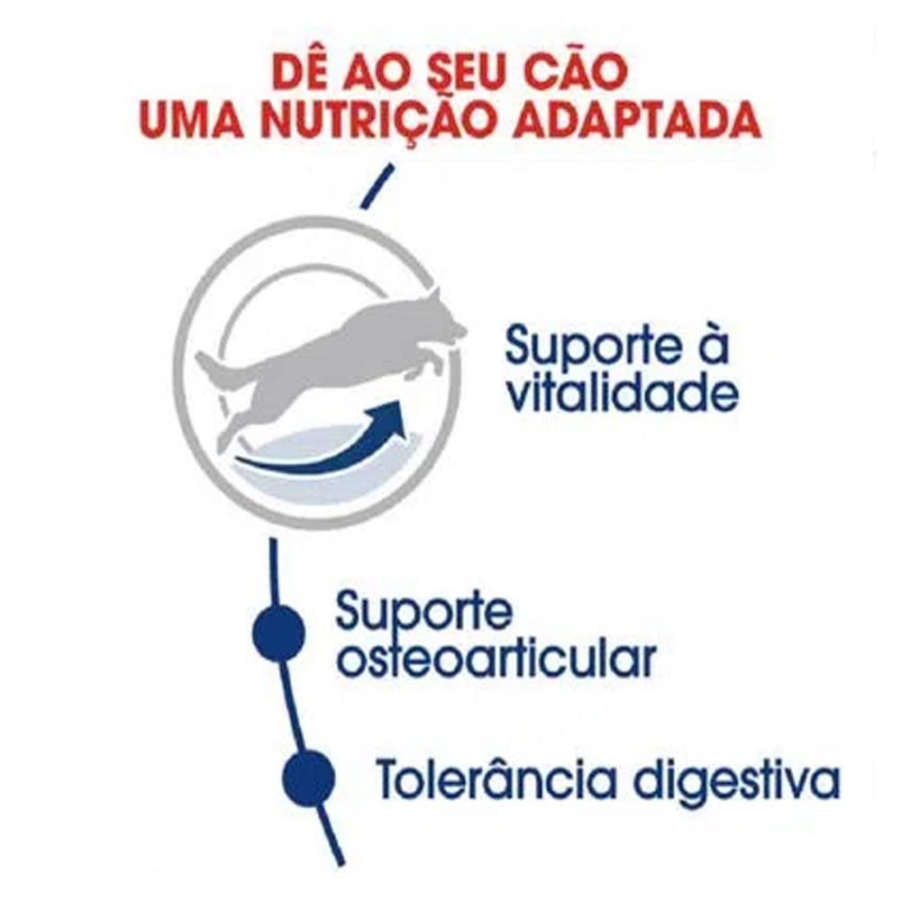 image_8a5a33b6-0a05-4aeb-8a4e-48077eb5cf50