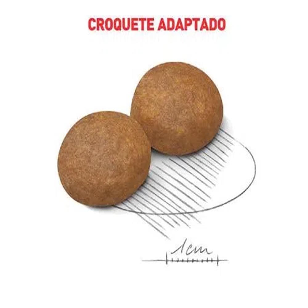 image_72d17dc6-e344-4437-b75d-1ff41223d67c