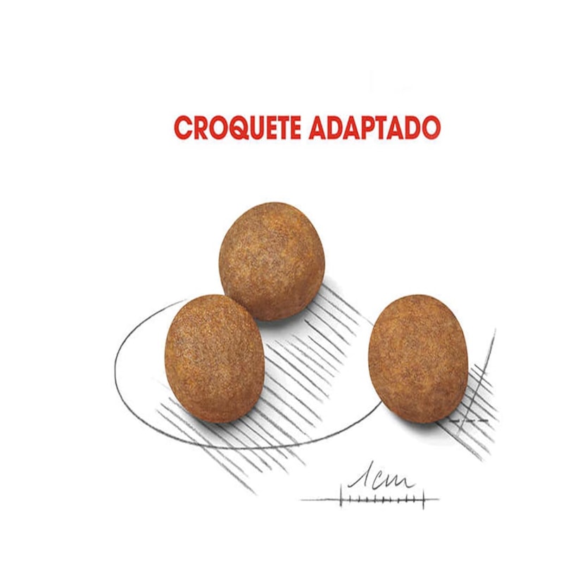 Product main image - a3351aa3-9345-4739-aa4a-5363c1ad0ad6