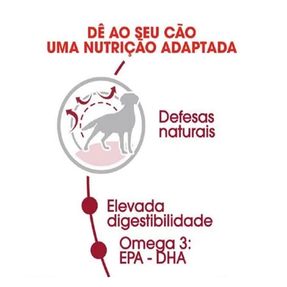 image_d4e4e05f-5d37-4d0c-a6c8-5e783a49f650