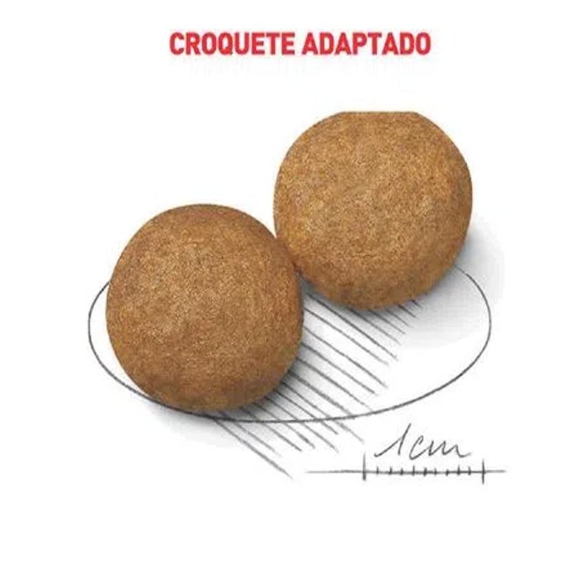 Product main image - 317f7723-a2fa-4634-91cb-95c71e723bd5