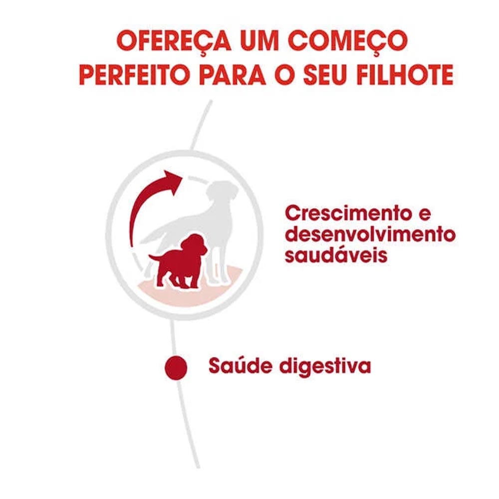 image_2174f00f-fea3-46ad-823b-395bccb72eb2