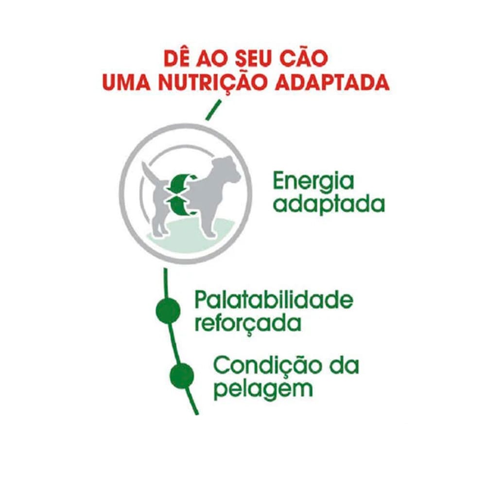 image_ca896c2b-40d5-4838-a8cd-d0b8a5a5908c