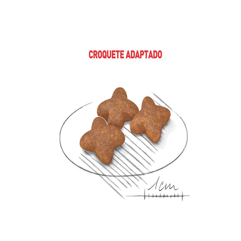 Product main image - 07c05eed-5177-4bd2-9447-ecd919ac6e99