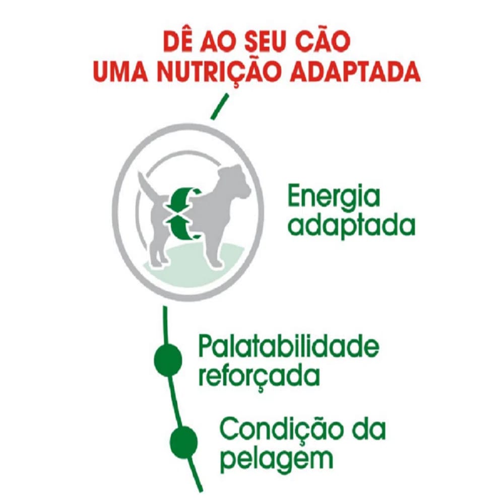 image_fc42aa39-d529-440b-9e78-c3008e86a074