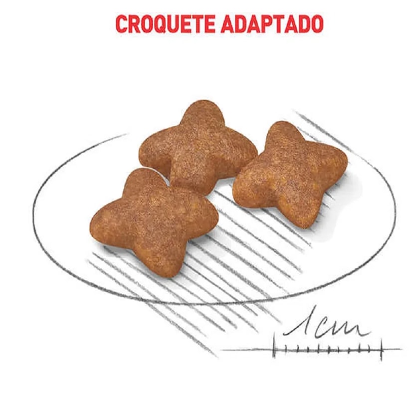 Product main image - 90409e71-e856-4714-92b9-a8194d8df931