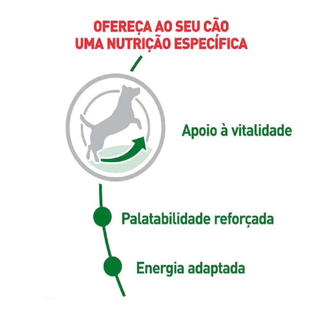 image_743eb7ee-6a90-4a85-bed4-f20277f3b0af