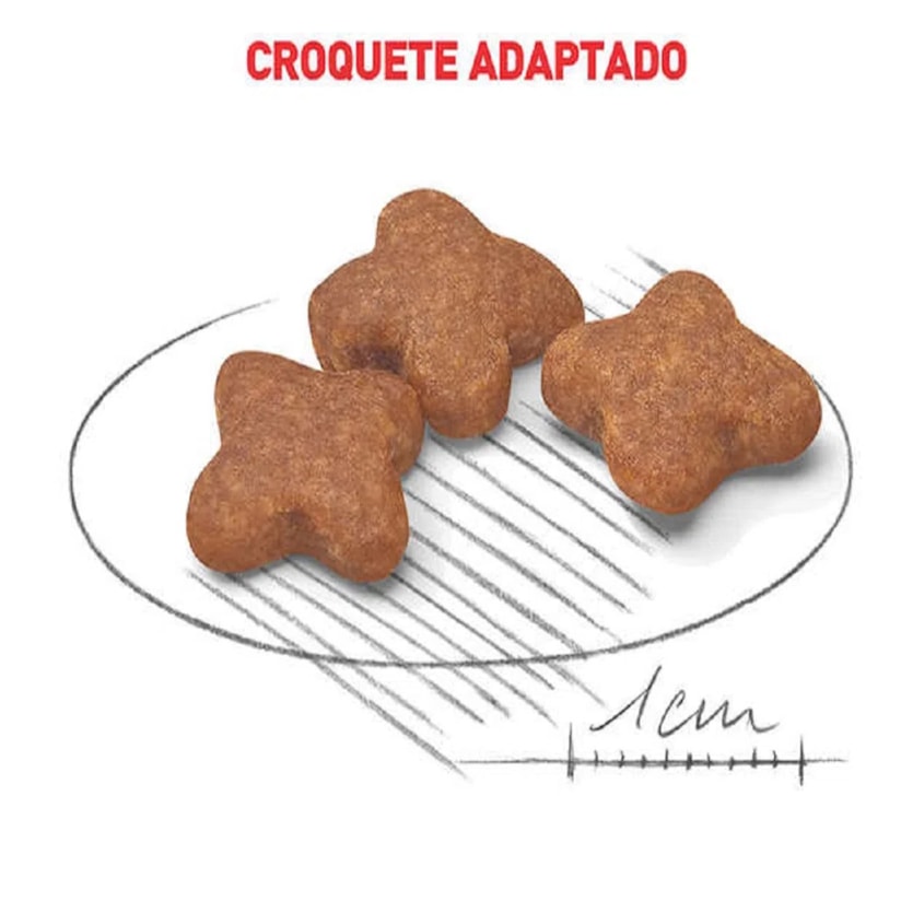 Product main image - ad972d08-7ef6-4546-b110-f0535b7e8737