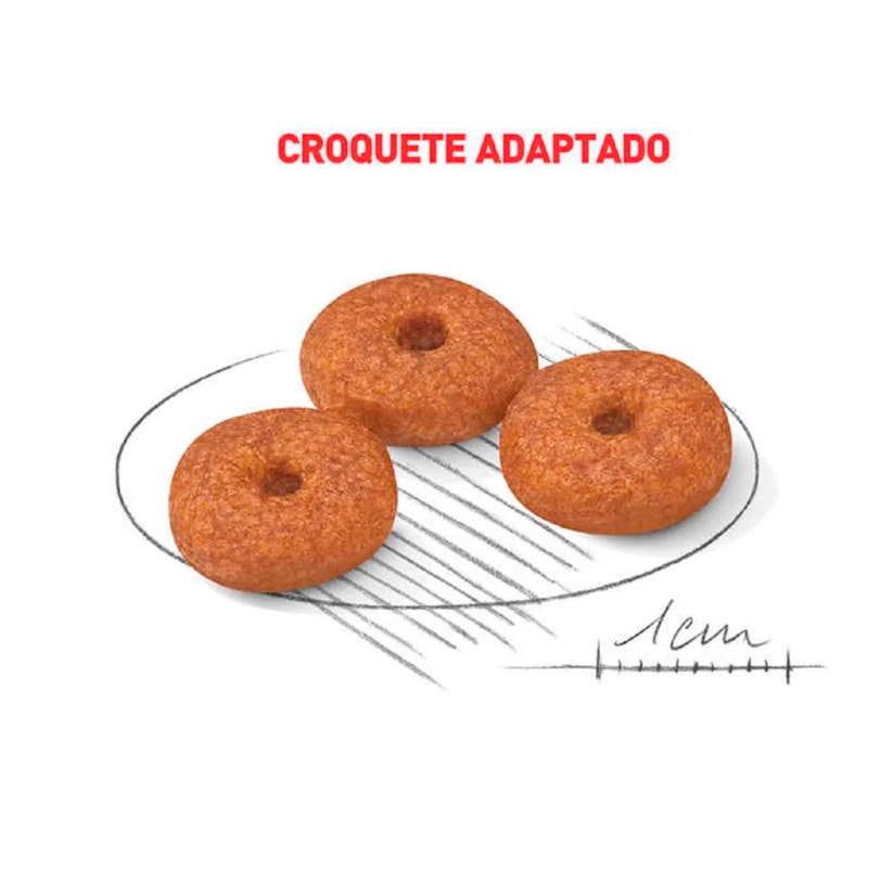 Product main image - 2a1a422d-e740-44bf-87a4-8a777b06b113