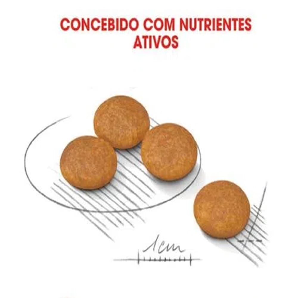 image_1c591b8b-93c4-49ff-b6eb-150caedccf41