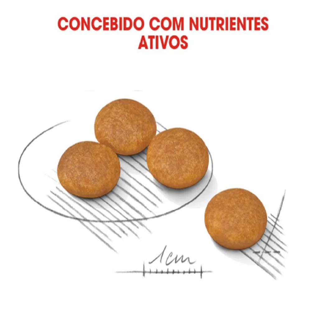 image_1e6ab14e-80f0-4b1c-a1b1-a64d12de90c5