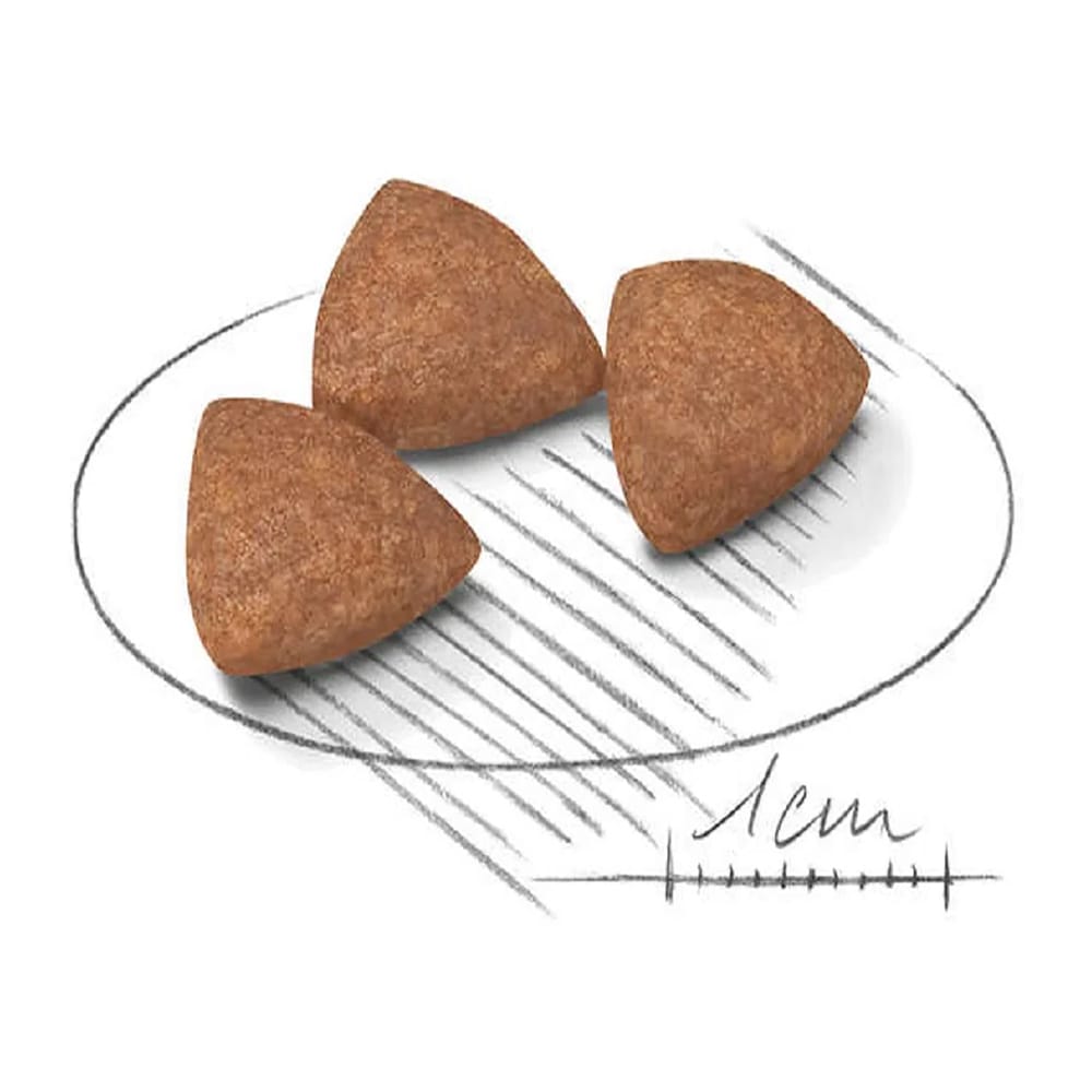 image_41efd6e9-a739-4b72-a88b-da27a239d68a