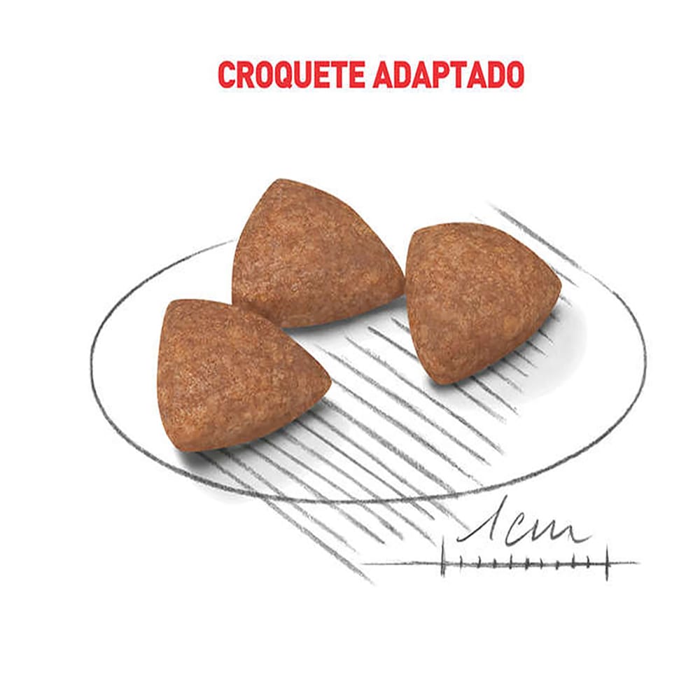 image_f2e69db1-eb44-4051-b116-627d0cb61d98