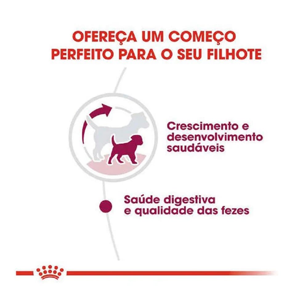 image_c34d1664-0b0b-4692-b1dd-fc6bcfb387c6