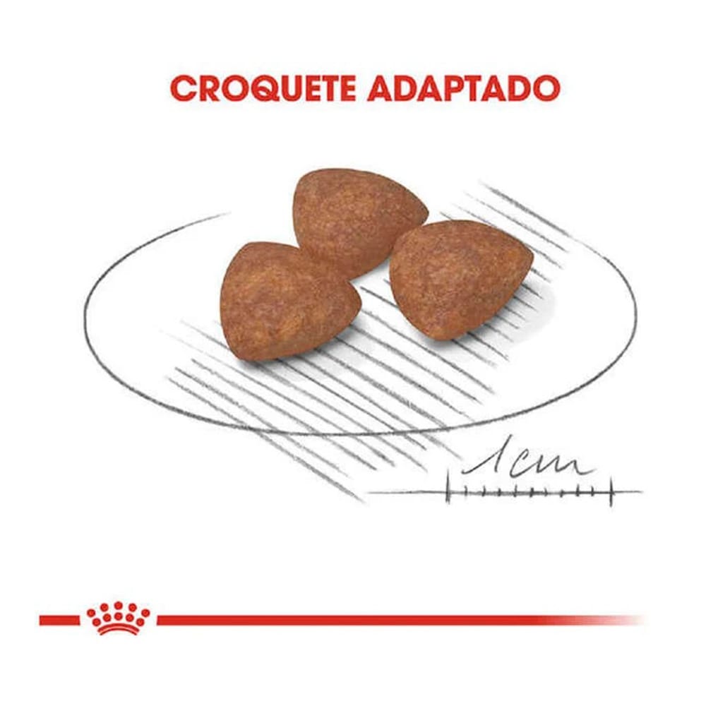 image_c0826181-2d44-4d42-a8c5-2c4c9f6d2a13