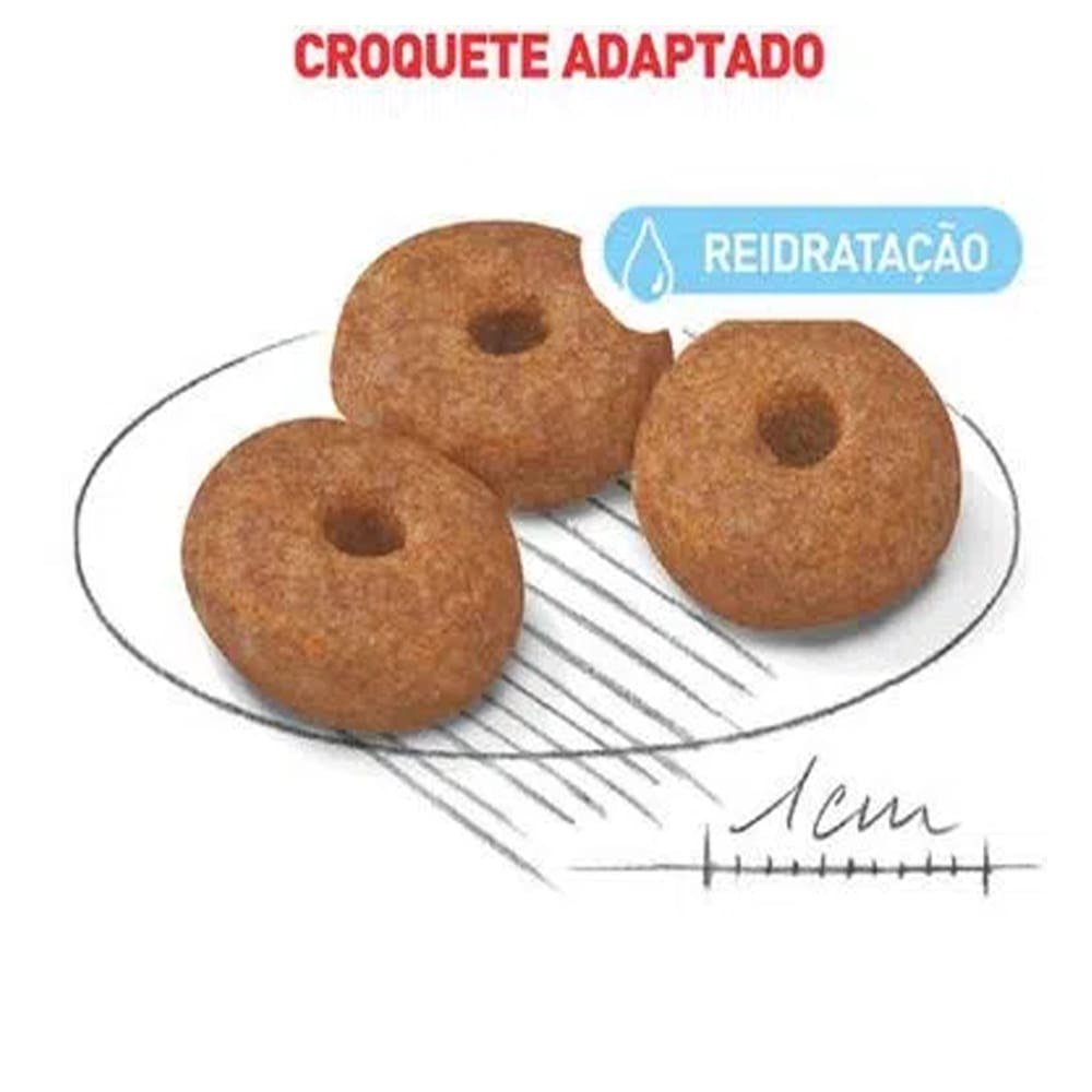 image_a136599d-6b8a-4fdb-816e-c2c453dcc475