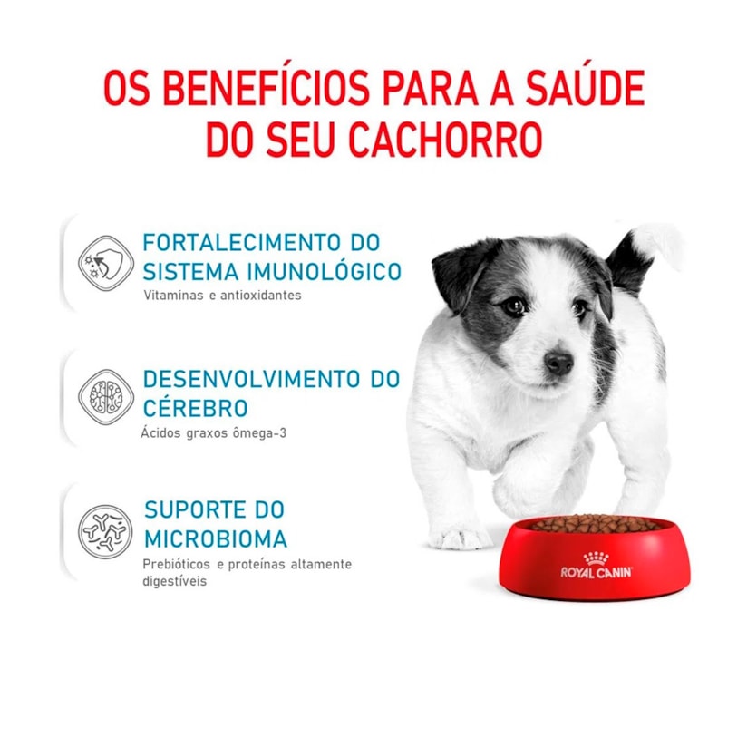 Product main image - 2465b70c-c9f7-4303-a8b7-dc541c4ed955