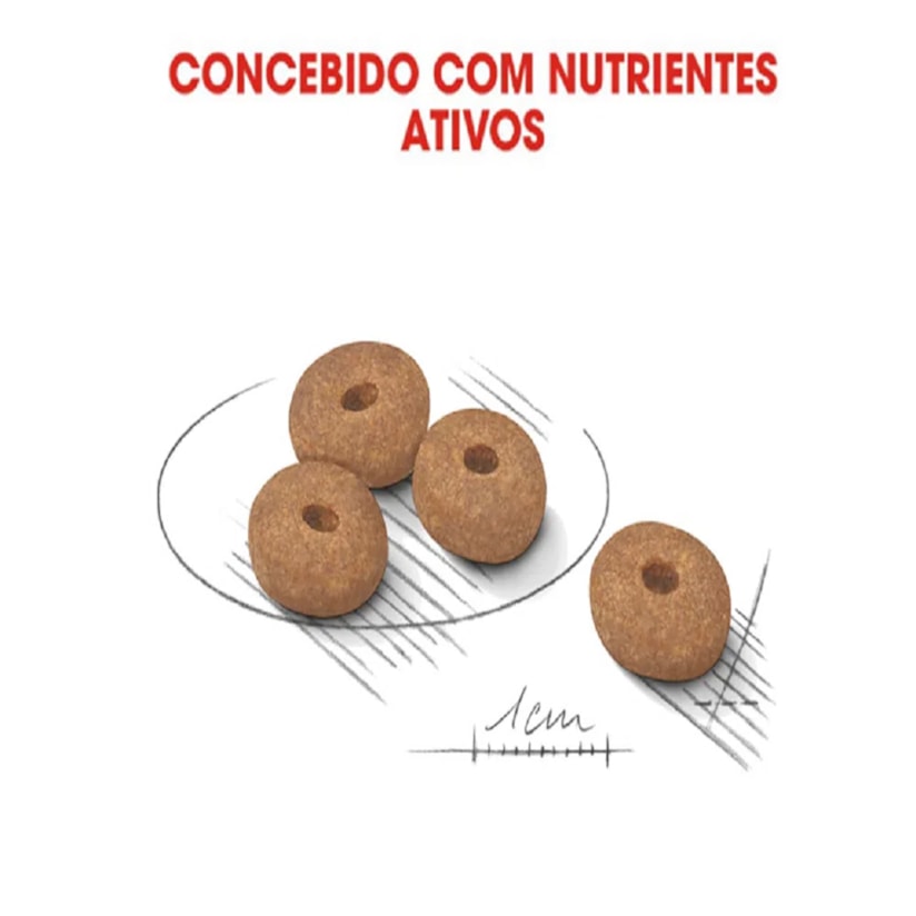 Product main image - cf94b5bb-7aa6-4370-8c46-4833c1c250dc