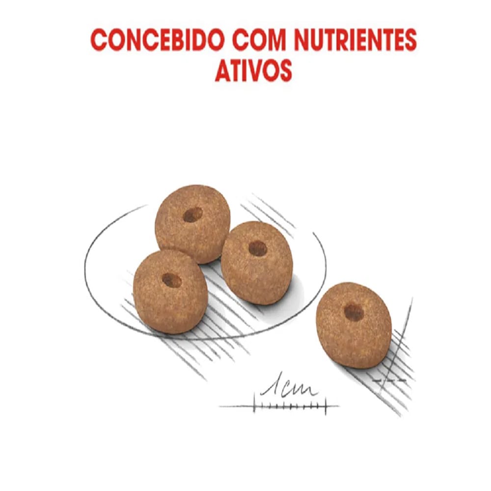 image_873fa310-52b1-4d20-b508-9be18149e1c3