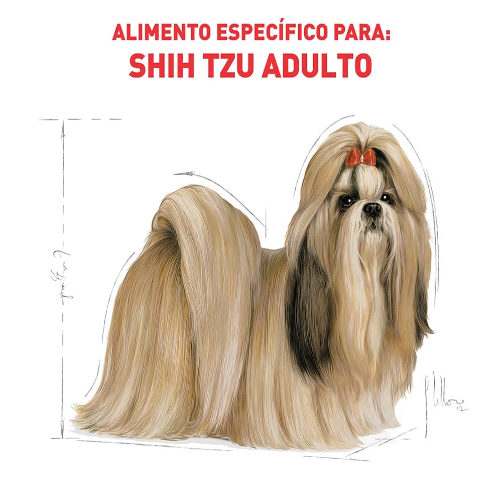 image_5eac9357-ff0a-421c-bc0f-ddc7aed74118