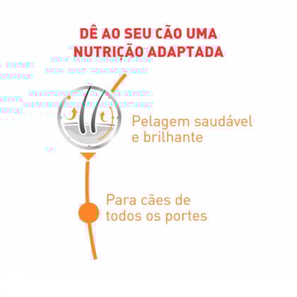 image_10ad7d5d-a029-409a-a8d5-a3cbb8c57c6a