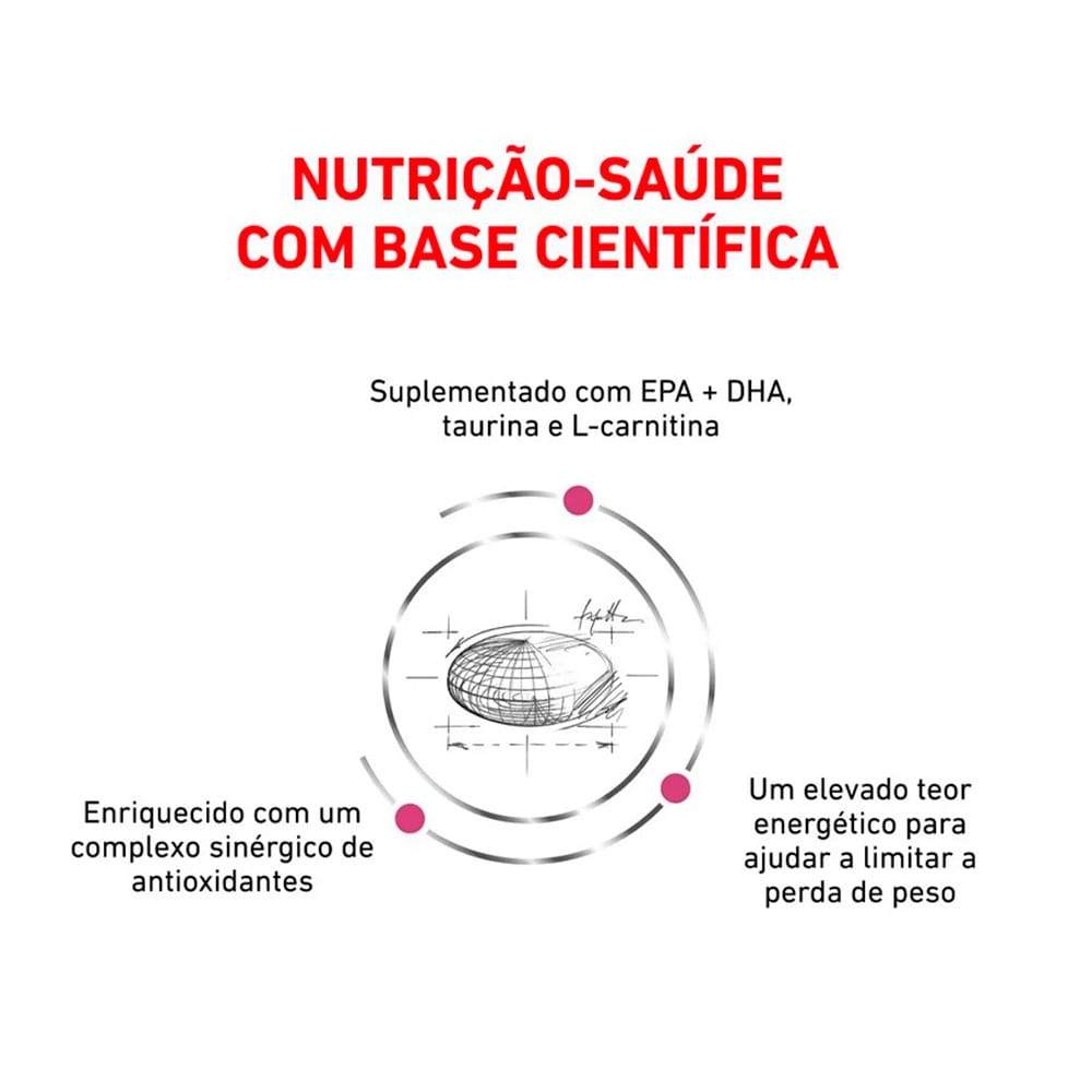 image_97a825d2-dbe8-4b36-90a5-033f213a358f