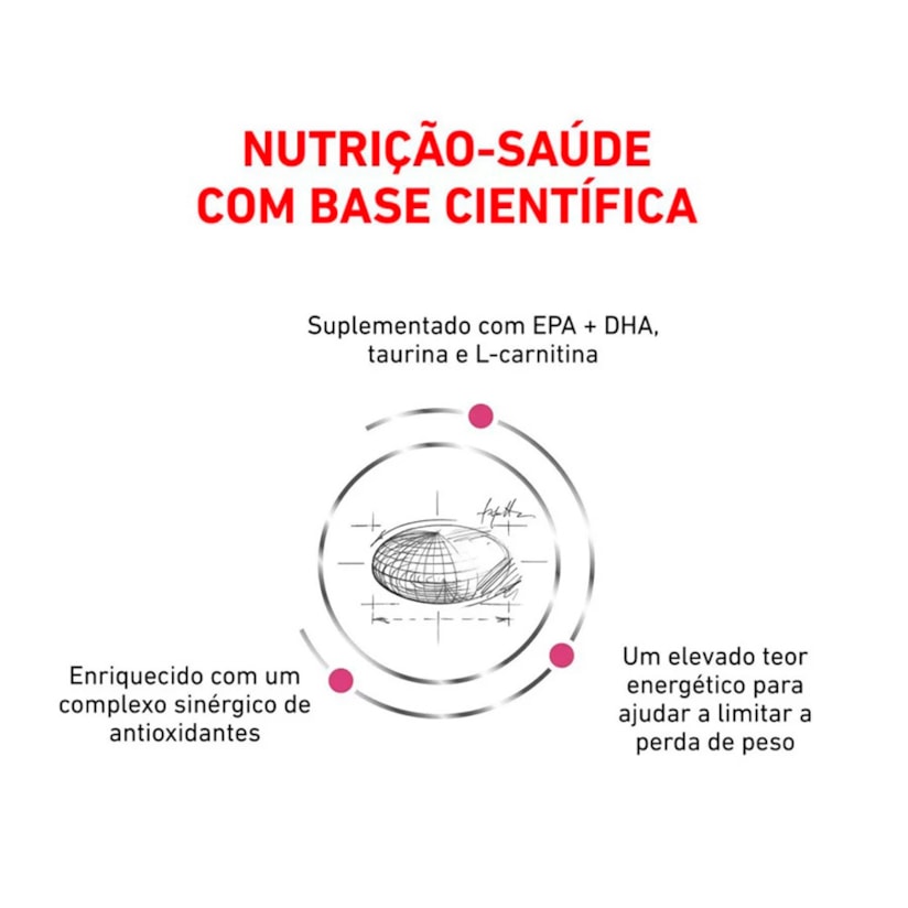 Product main image - 8c2135cf-88a5-420e-adc0-2d480243dc65