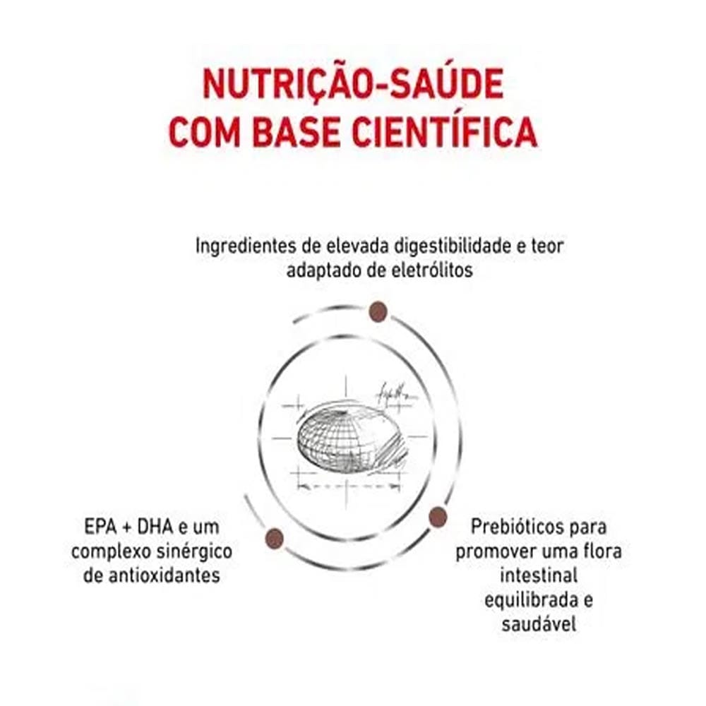 image_a8c1e811-0ccf-4373-b34b-de4116f15d14