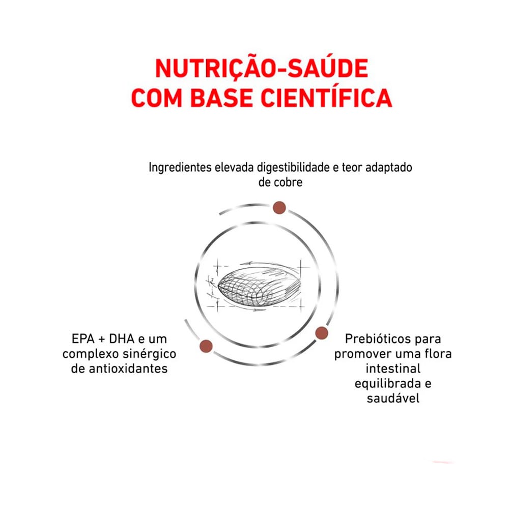 image_f0c61681-f537-4d08-8aaa-6fc5be2aefdf