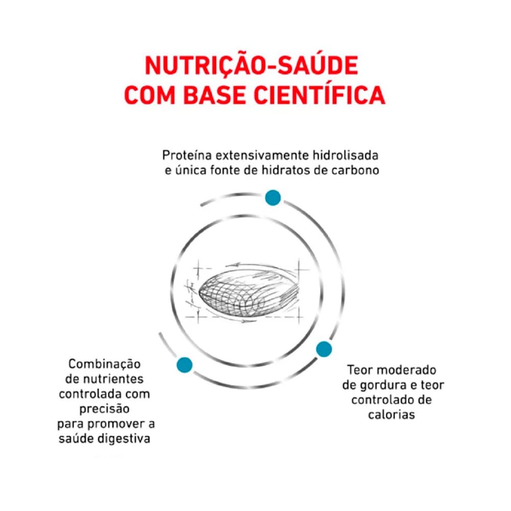 image_185a26be-09fe-4531-87dd-095be3a542c4