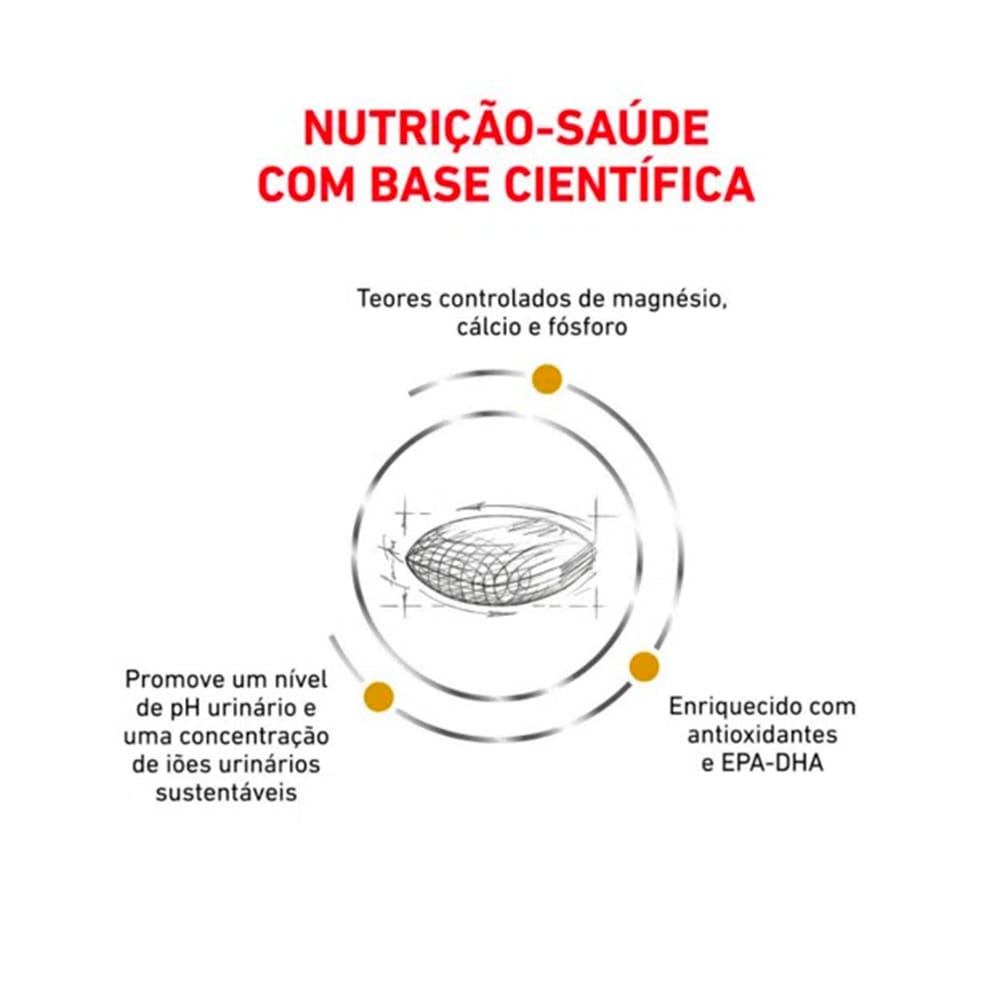 image_26e02868-8918-4bc3-b563-591f1c4a7910