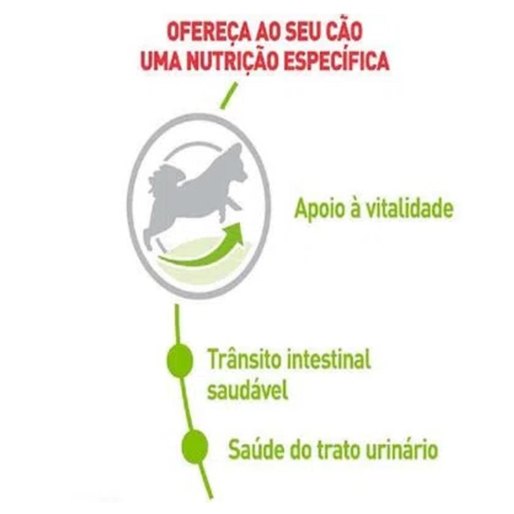 image_4064e7ea-82b3-449e-a5b0-0f8580fb3774