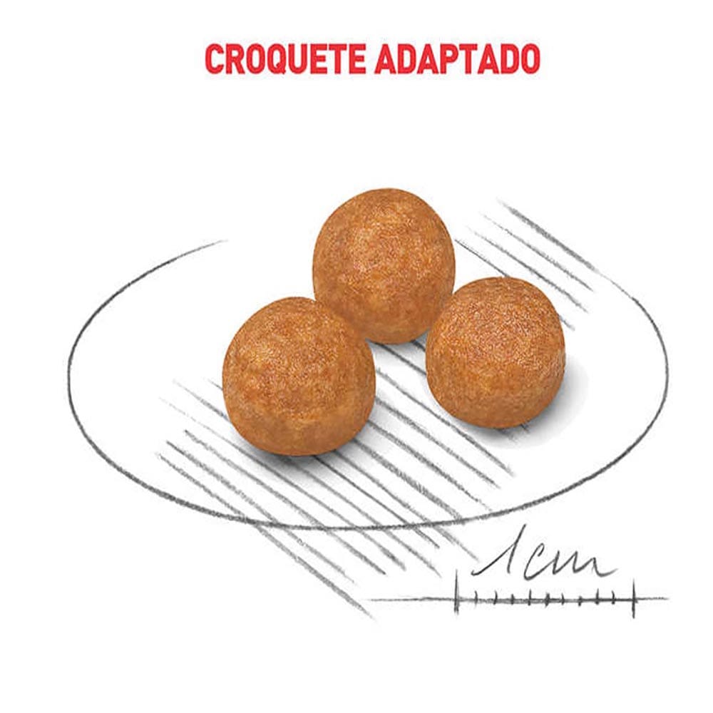 image_44461e0c-2d17-4fce-893f-dcd0de0d510b