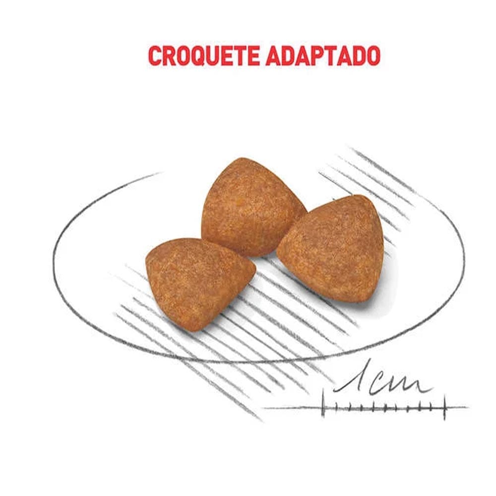 image_7bb39e71-dca2-460d-979d-d8549f5ae7b5