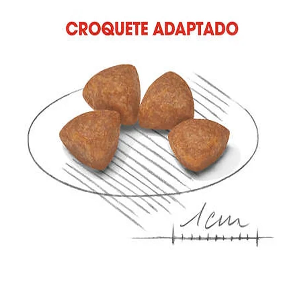 image_a35afe38-03bb-426e-a57c-5213390f23ed