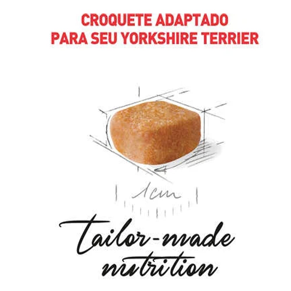 image_533d9a51-2e7a-47b5-b284-88bc86c865a1